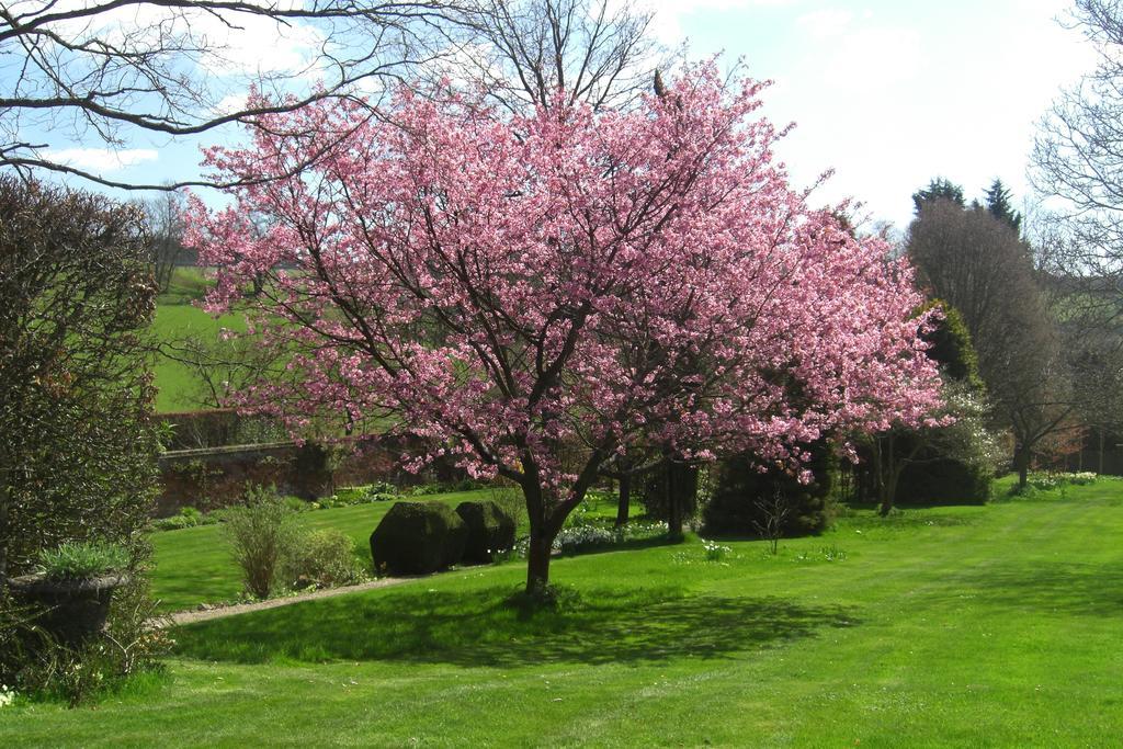 Bed and Breakfast Stowting Hill House Ashford  Esterno foto