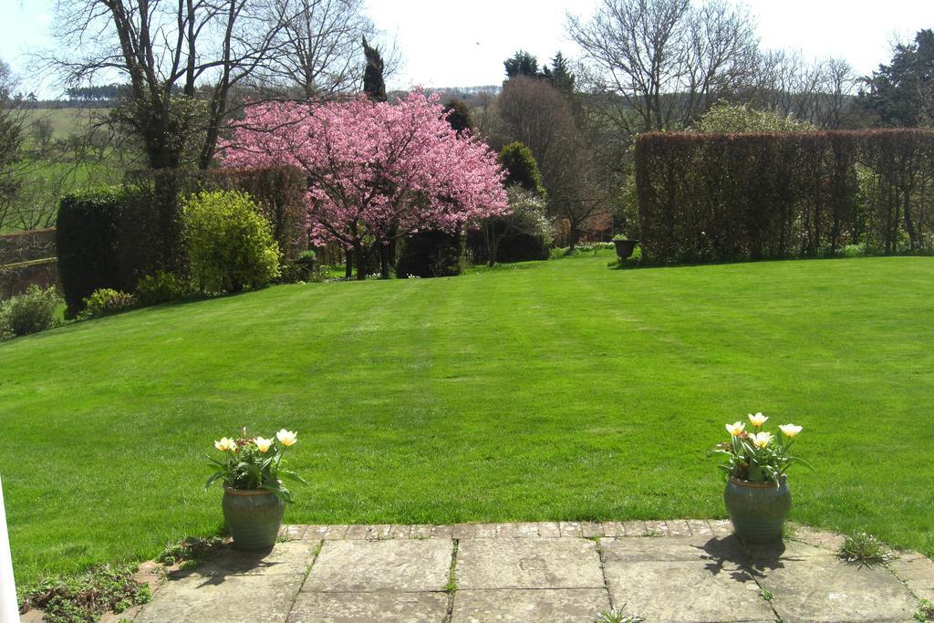 Bed and Breakfast Stowting Hill House Ashford  Esterno foto